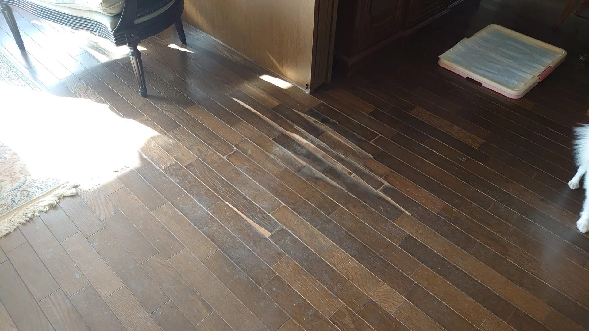 フローリング補修工事